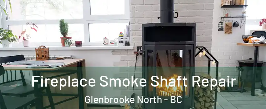  Fireplace Smoke Shaft Repair Glenbrooke North - BC