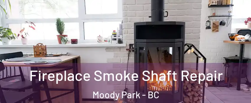  Fireplace Smoke Shaft Repair Moody Park - BC