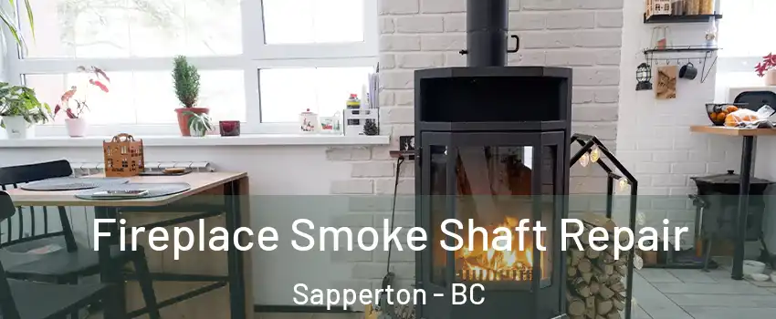  Fireplace Smoke Shaft Repair Sapperton - BC