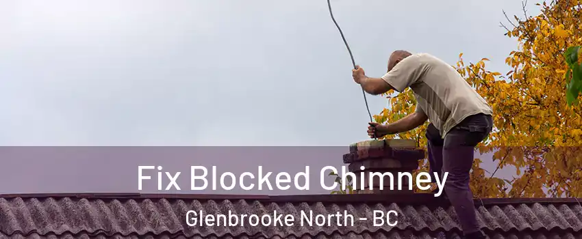  Fix Blocked Chimney Glenbrooke North - BC