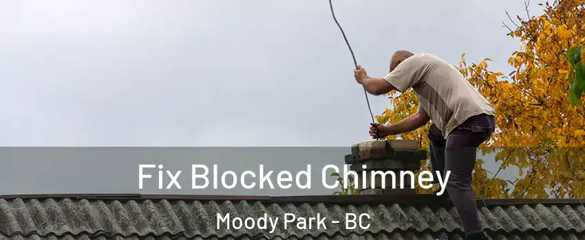  Fix Blocked Chimney Moody Park - BC