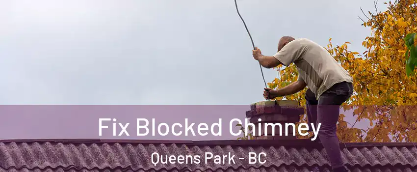  Fix Blocked Chimney Queens Park - BC