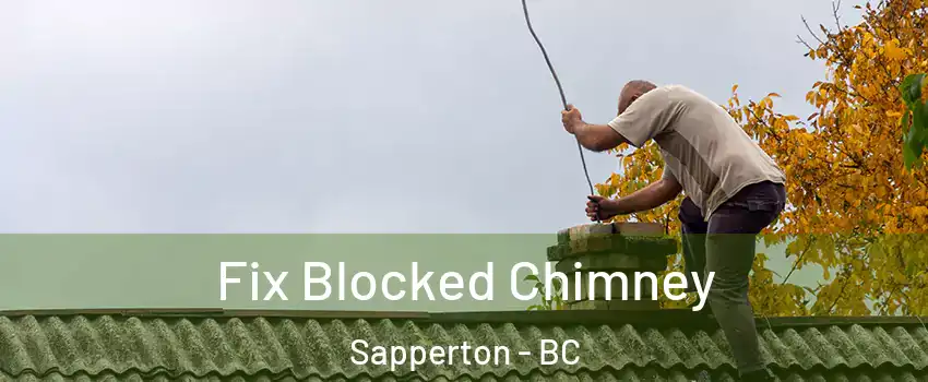  Fix Blocked Chimney Sapperton - BC