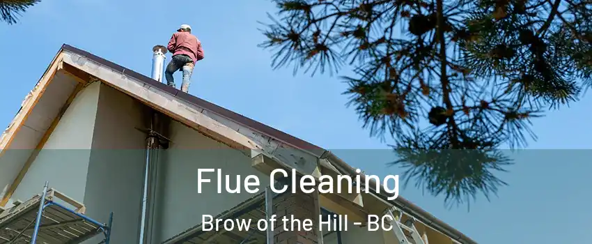  Flue Cleaning Brow of the Hill - BC