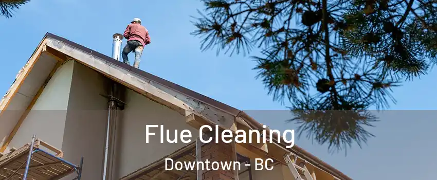  Flue Cleaning Downtown - BC