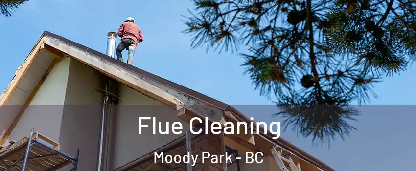  Flue Cleaning Moody Park - BC