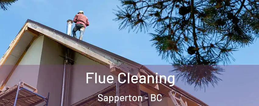  Flue Cleaning Sapperton - BC