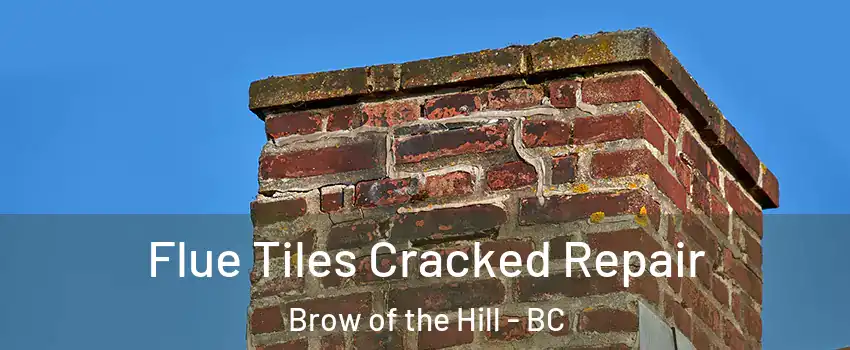  Flue Tiles Cracked Repair Brow of the Hill - BC