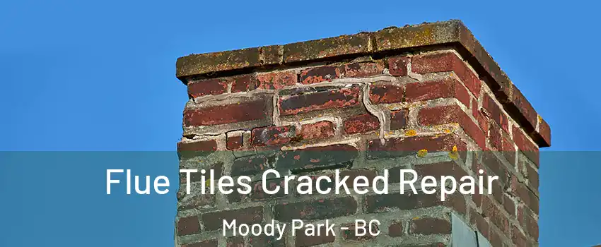  Flue Tiles Cracked Repair Moody Park - BC
