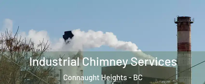  Industrial Chimney Services Connaught Heights - BC