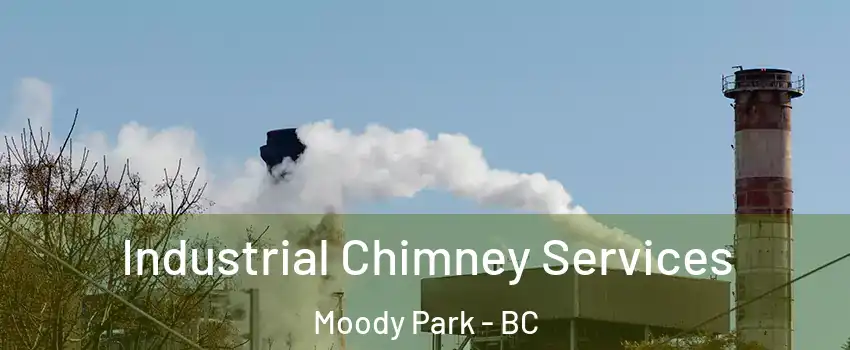  Industrial Chimney Services Moody Park - BC