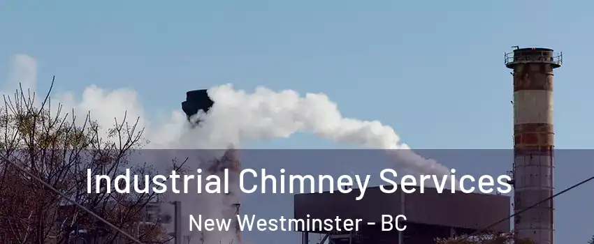  Industrial Chimney Services New Westminster - BC