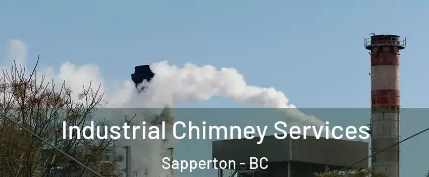  Industrial Chimney Services Sapperton - BC