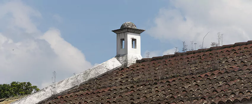 Wind-Resistant Chimney Caps Installation and Repair Services in Uptown, British Columbia