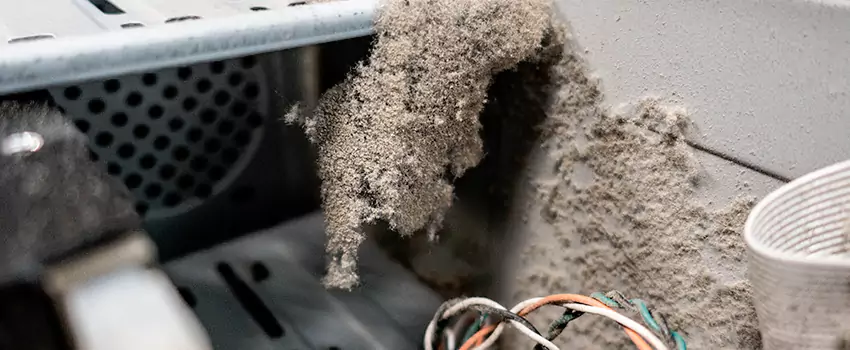Clogged Dryer Vent Lint Cleaning in Uptown, British Columbia