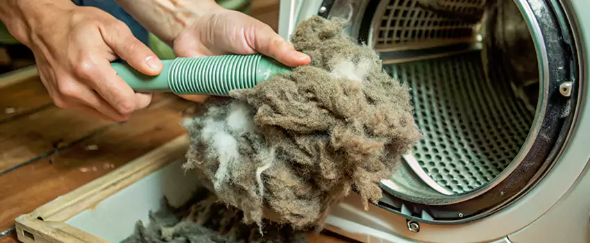 Best Dryer Lint Removal Company in Uptown, British Columbia