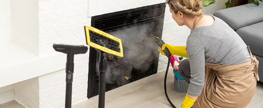 Fireplace Doors Cleaning in Uptown, British Columbia