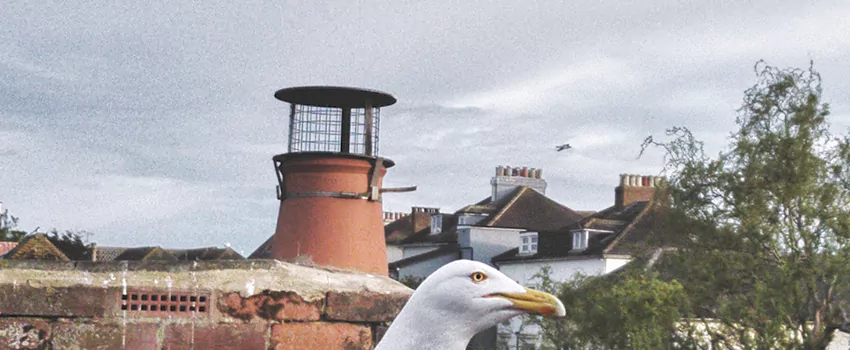 Chimney Cap Bird Guard Repair in Uptown, British Columbia