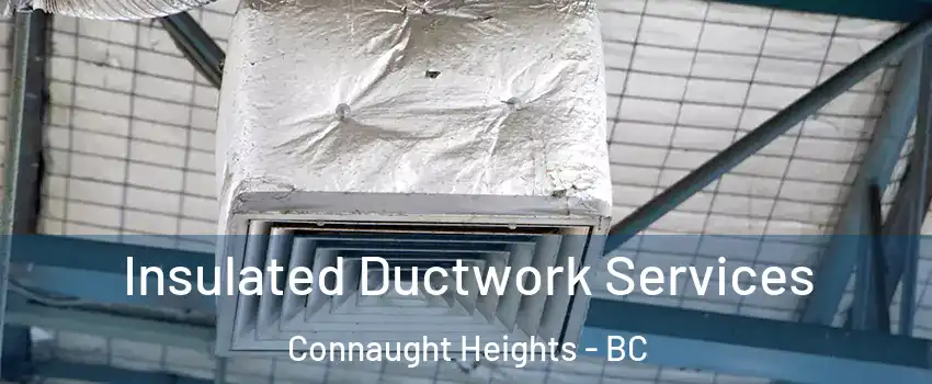  Insulated Ductwork Services Connaught Heights - BC