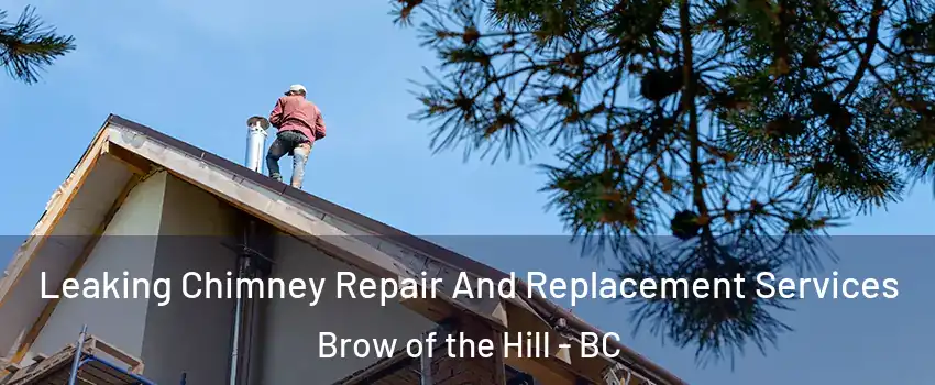  Leaking Chimney Repair And Replacement Services Brow of the Hill - BC