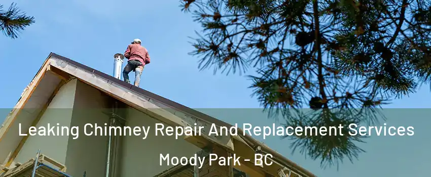  Leaking Chimney Repair And Replacement Services Moody Park - BC