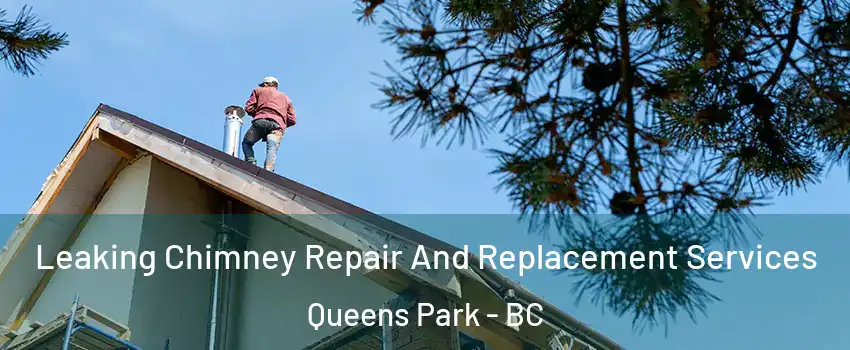  Leaking Chimney Repair And Replacement Services Queens Park - BC