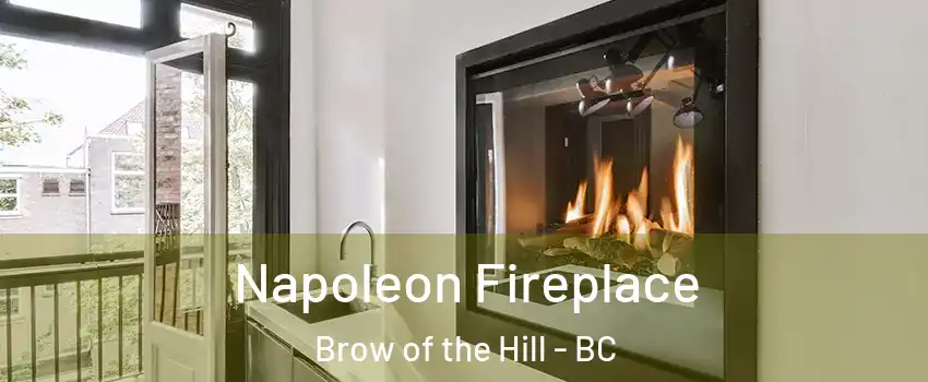  Napoleon Fireplace Brow of the Hill - BC
