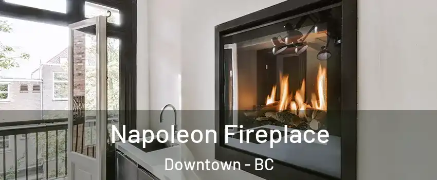  Napoleon Fireplace Downtown - BC