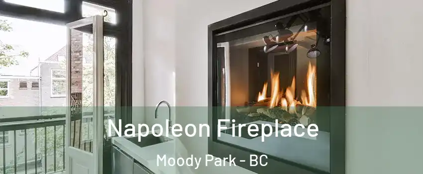  Napoleon Fireplace Moody Park - BC