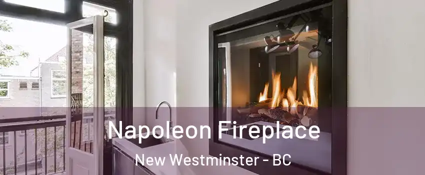  Napoleon Fireplace New Westminster - BC