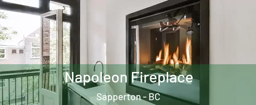  Napoleon Fireplace Sapperton - BC