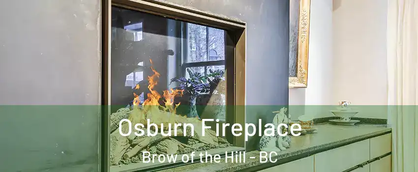  Osburn Fireplace Brow of the Hill - BC