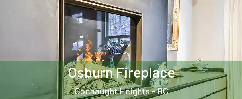  Osburn Fireplace Connaught Heights - BC