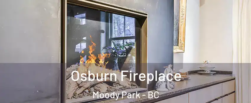  Osburn Fireplace Moody Park - BC
