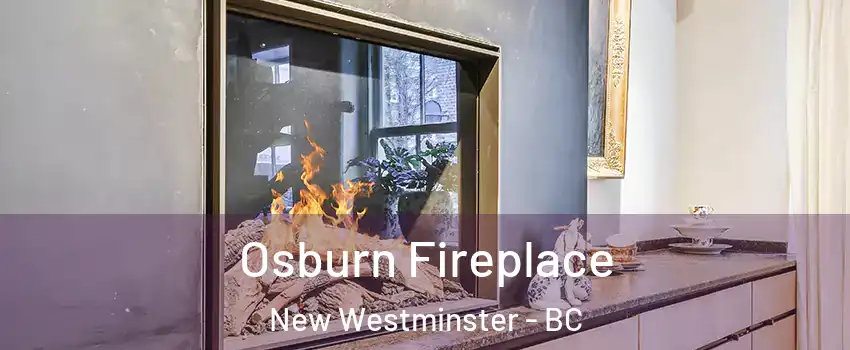  Osburn Fireplace New Westminster - BC