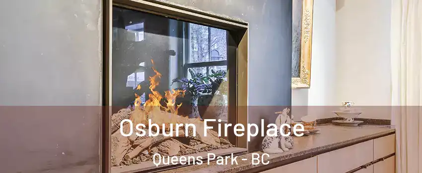 Osburn Fireplace Queens Park - BC