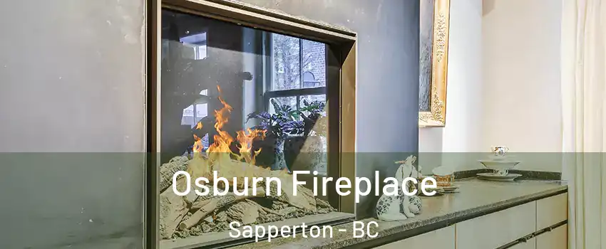  Osburn Fireplace Sapperton - BC