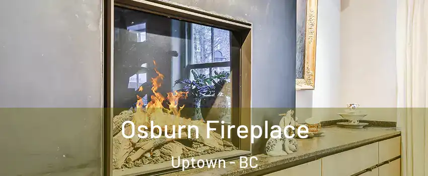  Osburn Fireplace Uptown - BC
