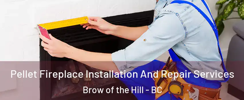  Pellet Fireplace Installation And Repair Services Brow of the Hill - BC