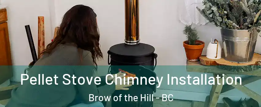  Pellet Stove Chimney Installation Brow of the Hill - BC