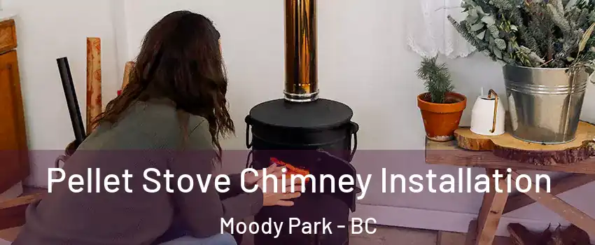  Pellet Stove Chimney Installation Moody Park - BC
