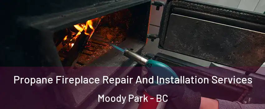 Propane Fireplace Repair And Installation Services Moody Park - BC