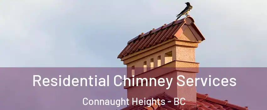  Residential Chimney Services Connaught Heights - BC