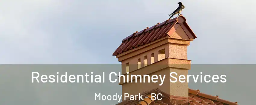  Residential Chimney Services Moody Park - BC