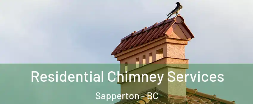  Residential Chimney Services Sapperton - BC