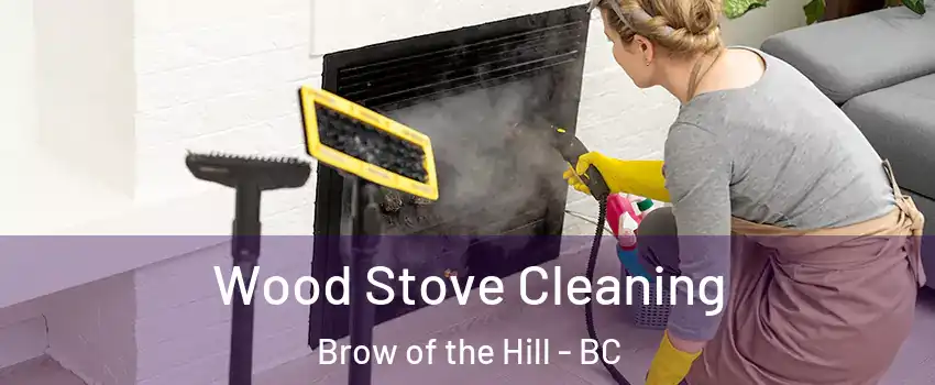  Wood Stove Cleaning Brow of the Hill - BC