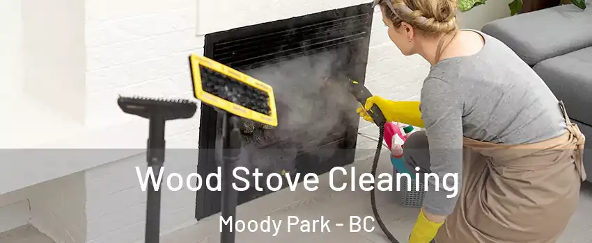  Wood Stove Cleaning Moody Park - BC