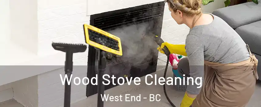  Wood Stove Cleaning West End - BC